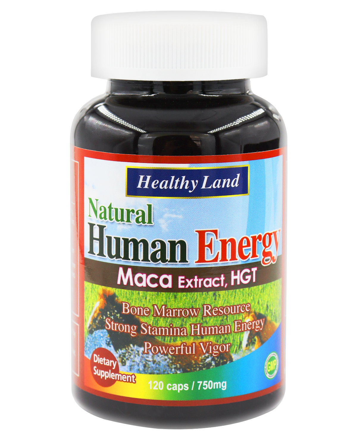 [HL502] Human Energy